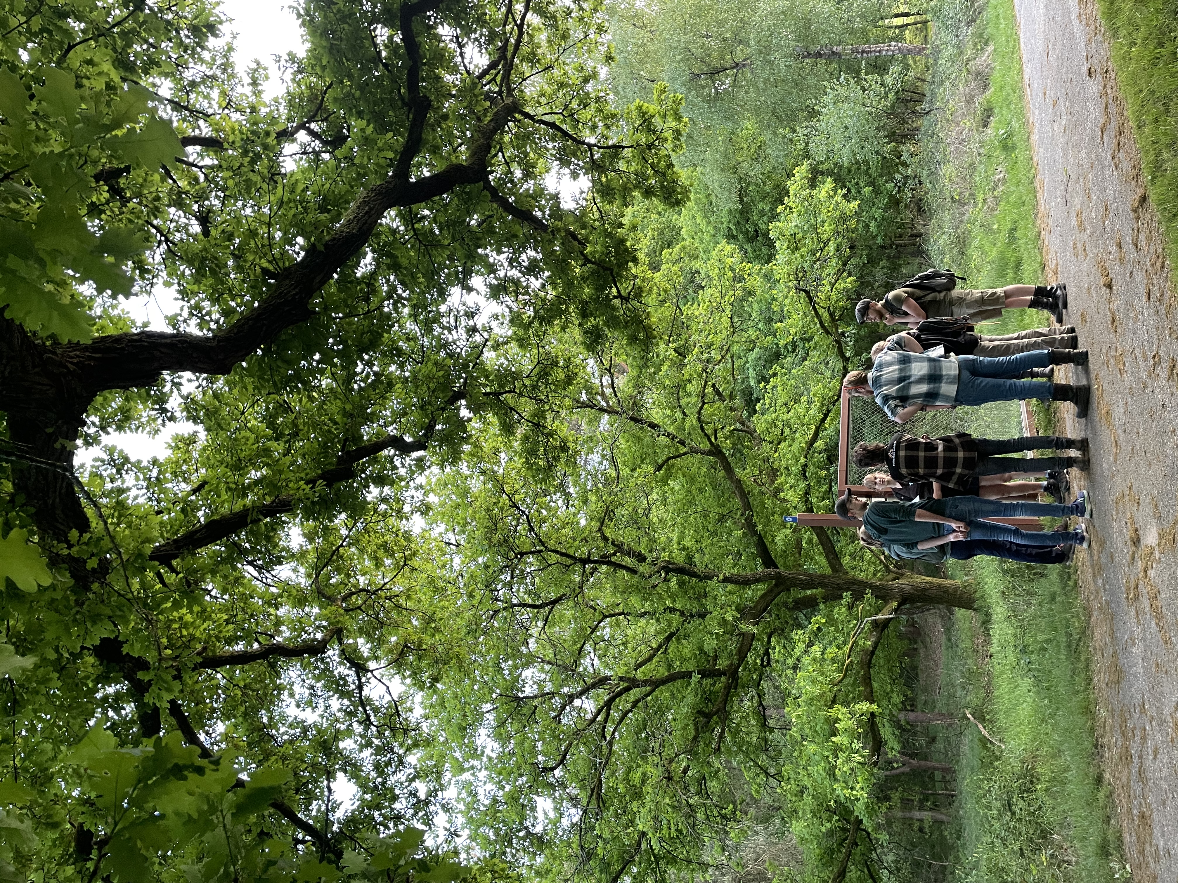 Natuurcommissie in het bos